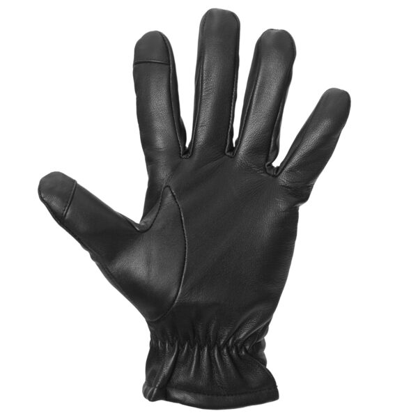 Trailhead Glove Black Palm