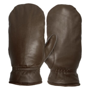 Alps Mitten Brown Main