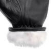 Park City Mitten Black Lining